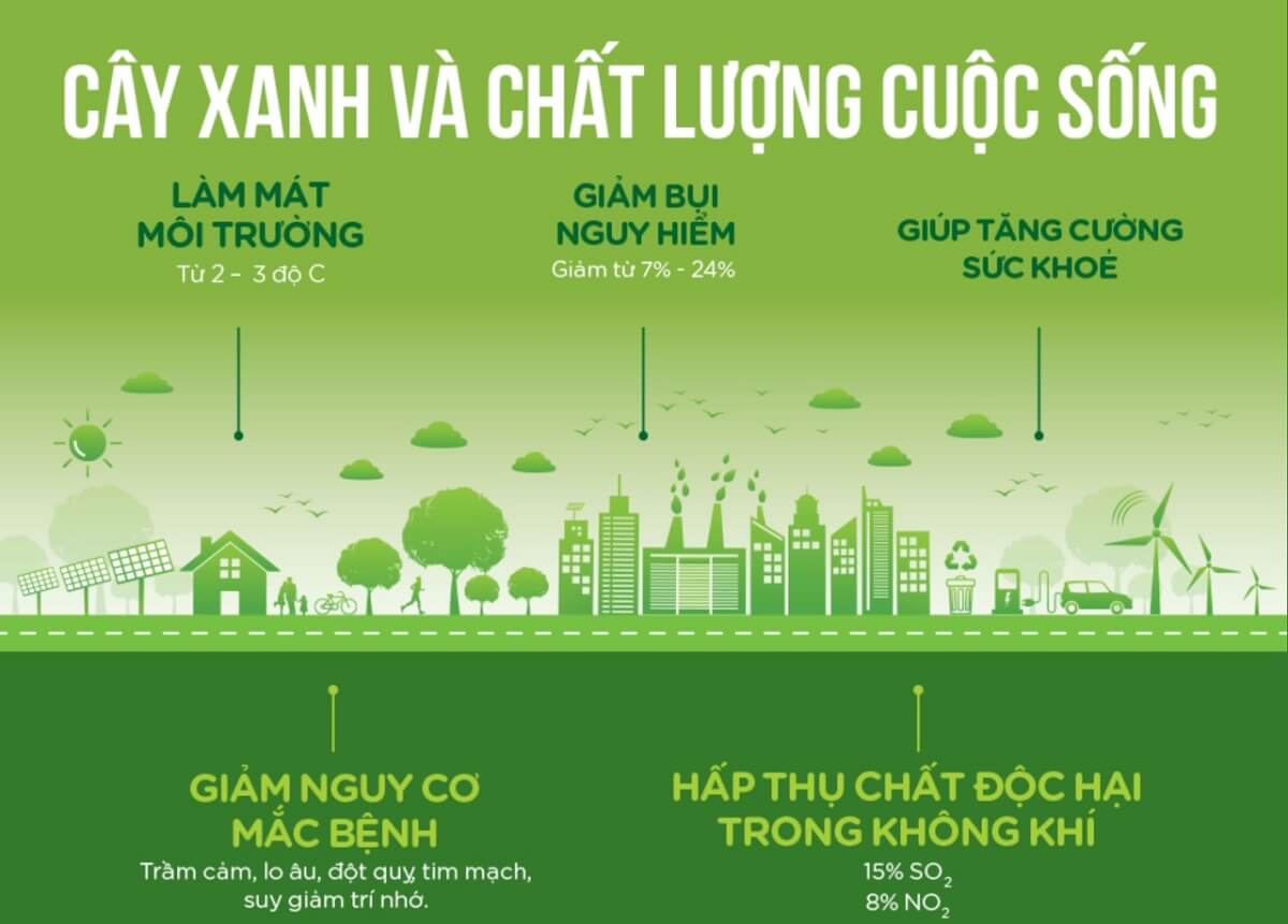 Những lợi ích tuyệt vời mà cây xanh mang trong việc bảo vệ môi trường và sức khỏe