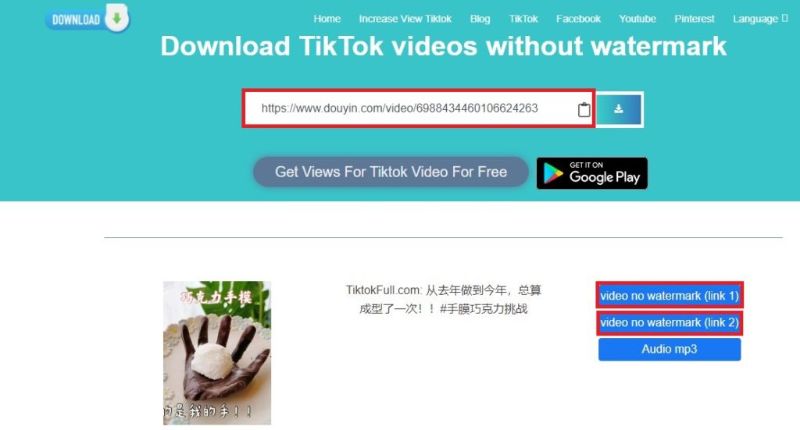 download video TikTok mp3