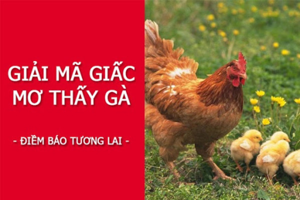 Nằm mơ thấy gà có phải điềm xấu? Đánh con gì?