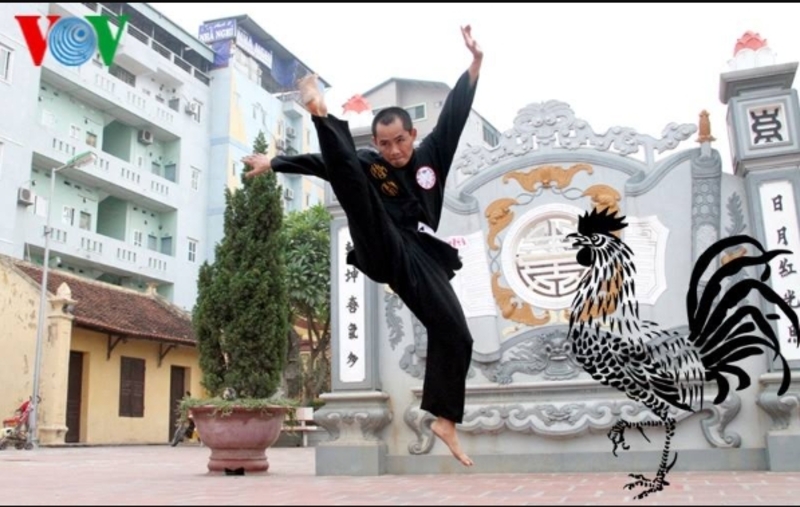 Bình Định lưu giữ nhiều bài võ nổi tiếng như Hùng Kê quyền, Ngọc Trản quyền, Lão Mai quyền và các bài roi đặc sắc. (Nguồn: VOV)