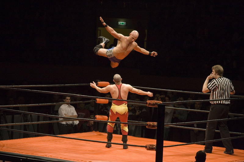 Wrestling có nhiều hình thức từ vật tự do đến đấu vật biểu diễn