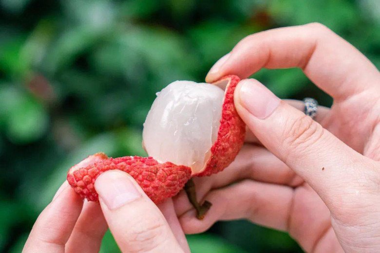 Ăn nhiều vải có tốt không