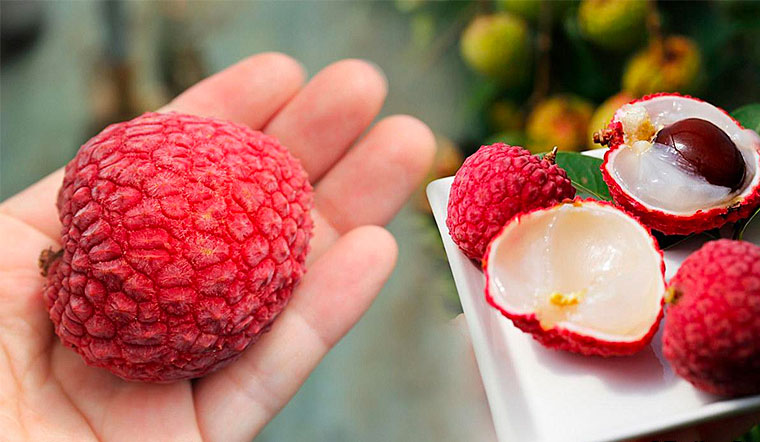 Ăn nhiều vải có tốt không